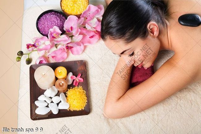 file tranh spa 9 9